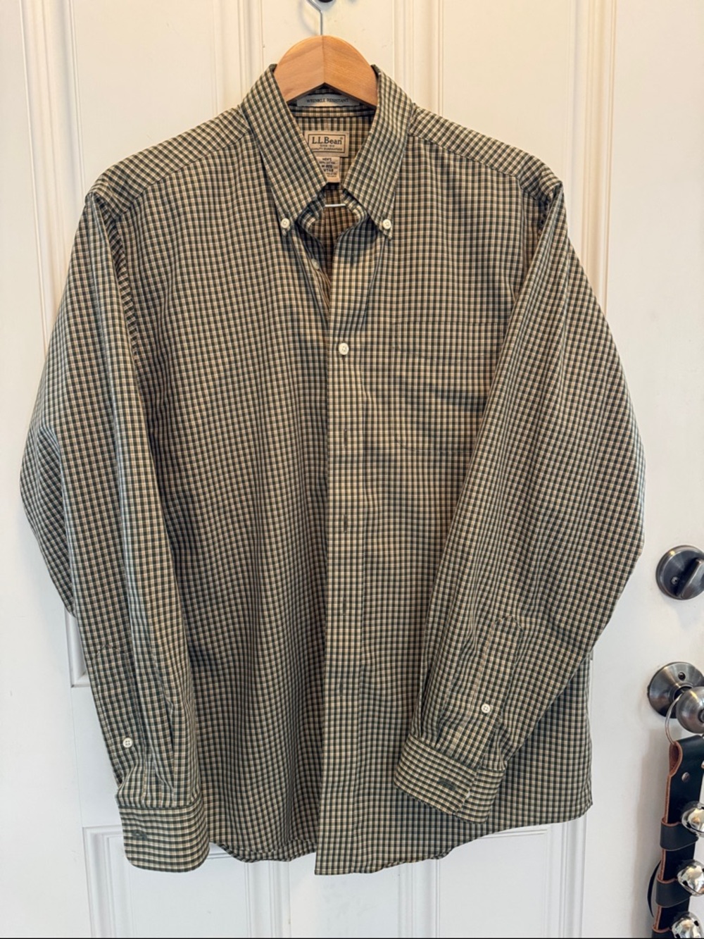 L.L. Bean Men's Wrinkle Resistant Green and Tan Small-Check Button-Down Shirt